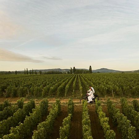 Como Le Montrachet Пюліньї-Монраше Екстер'єр фото