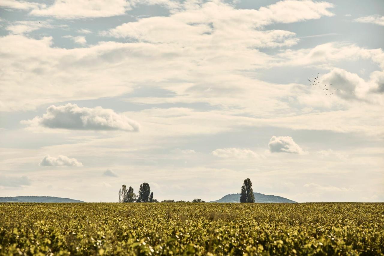 Como Le Montrachet Пюліньї-Монраше Екстер'єр фото