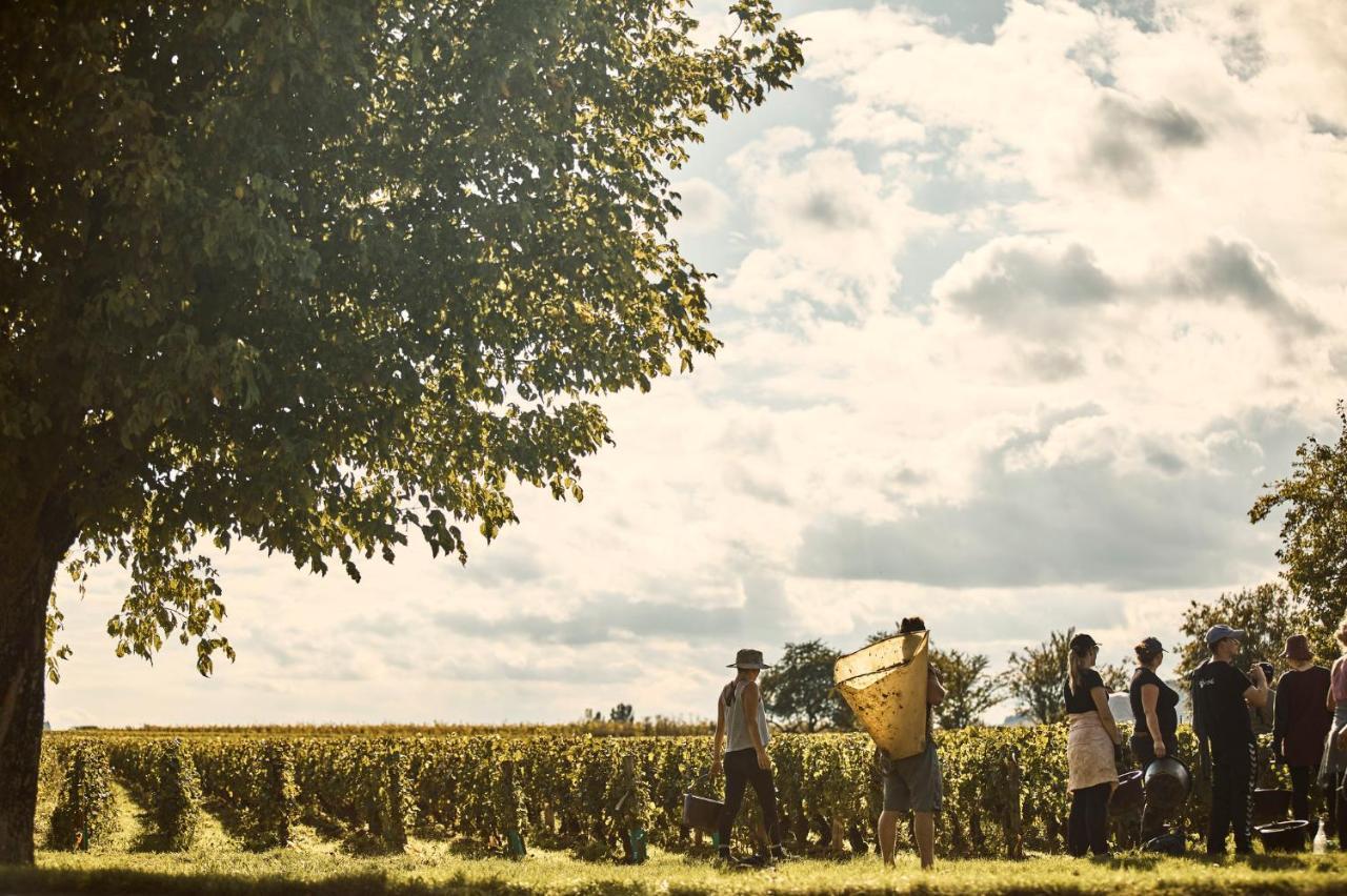 Como Le Montrachet Пюліньї-Монраше Екстер'єр фото