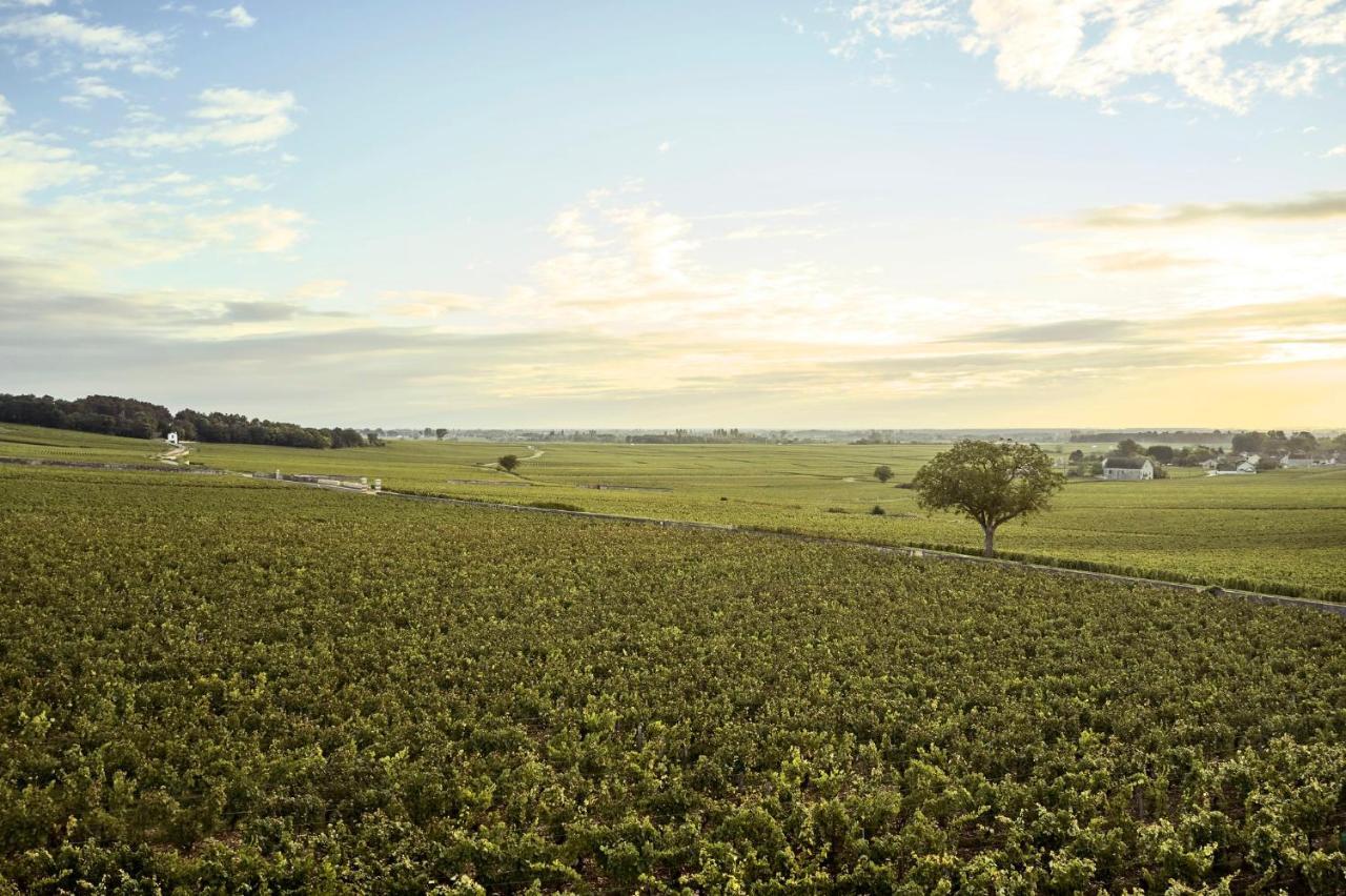 Como Le Montrachet Пюліньї-Монраше Екстер'єр фото