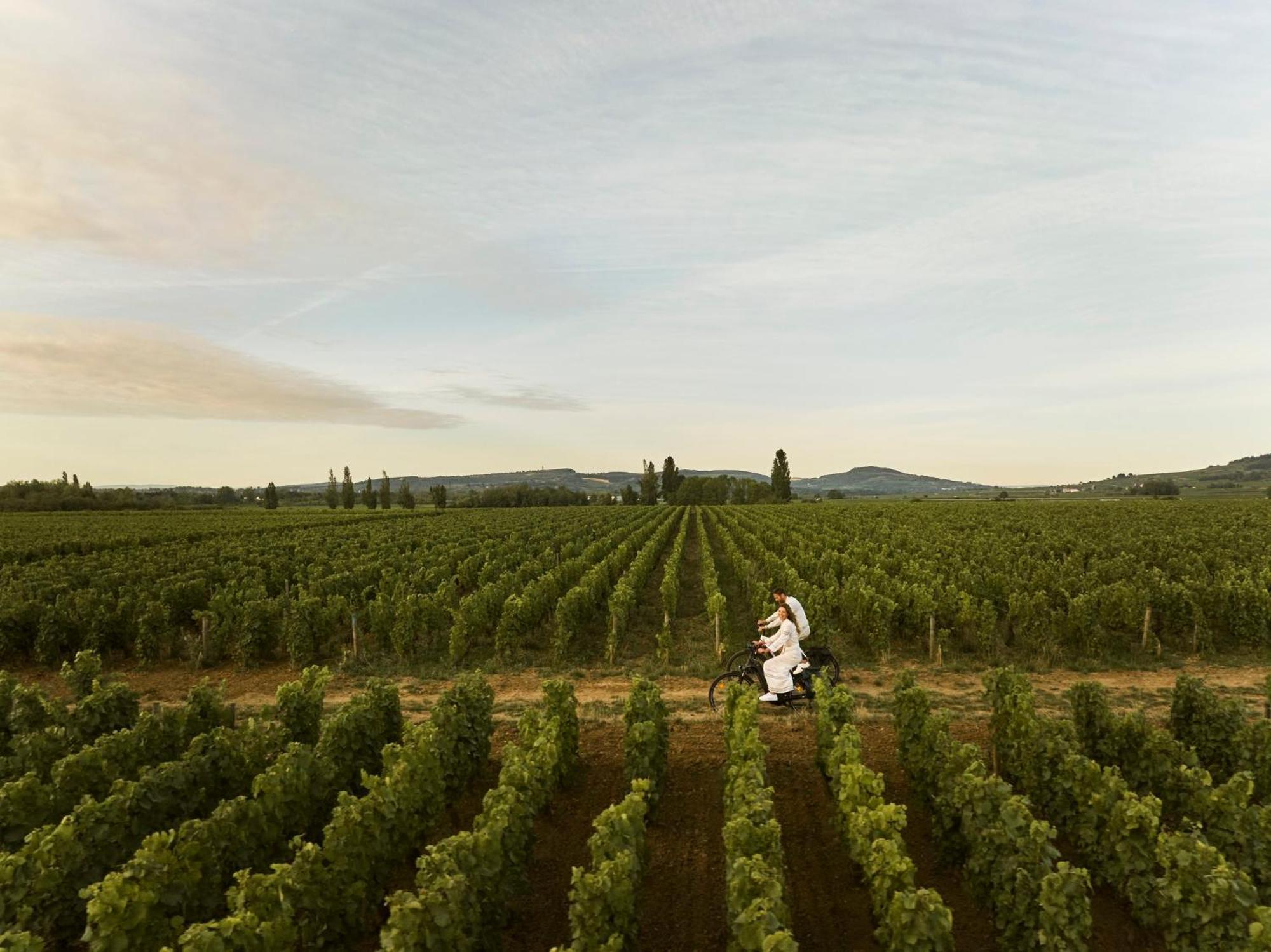 Como Le Montrachet Пюліньї-Монраше Екстер'єр фото