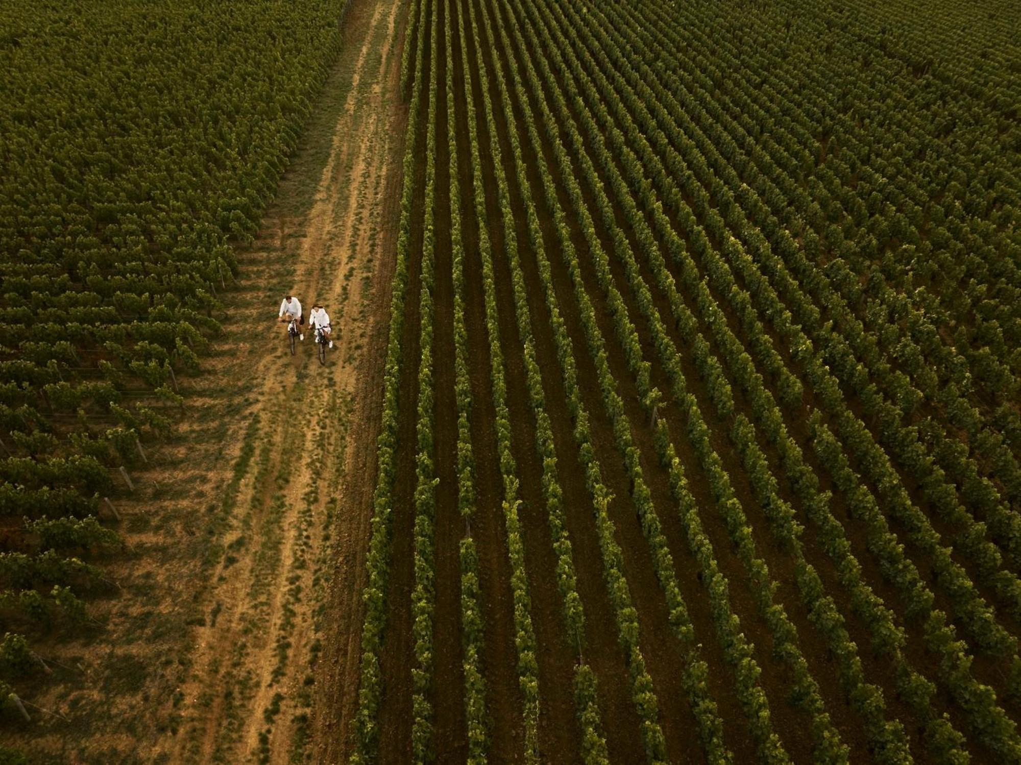 Como Le Montrachet Пюліньї-Монраше Екстер'єр фото
